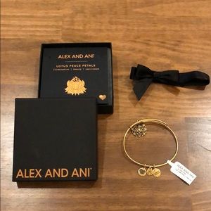 Alex and Ani - charm bracelet